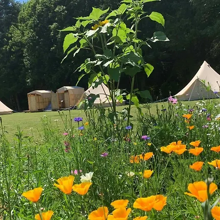 Au Pre Fleuri Eco Glamping Hotel Le Lindois Buitenkant foto