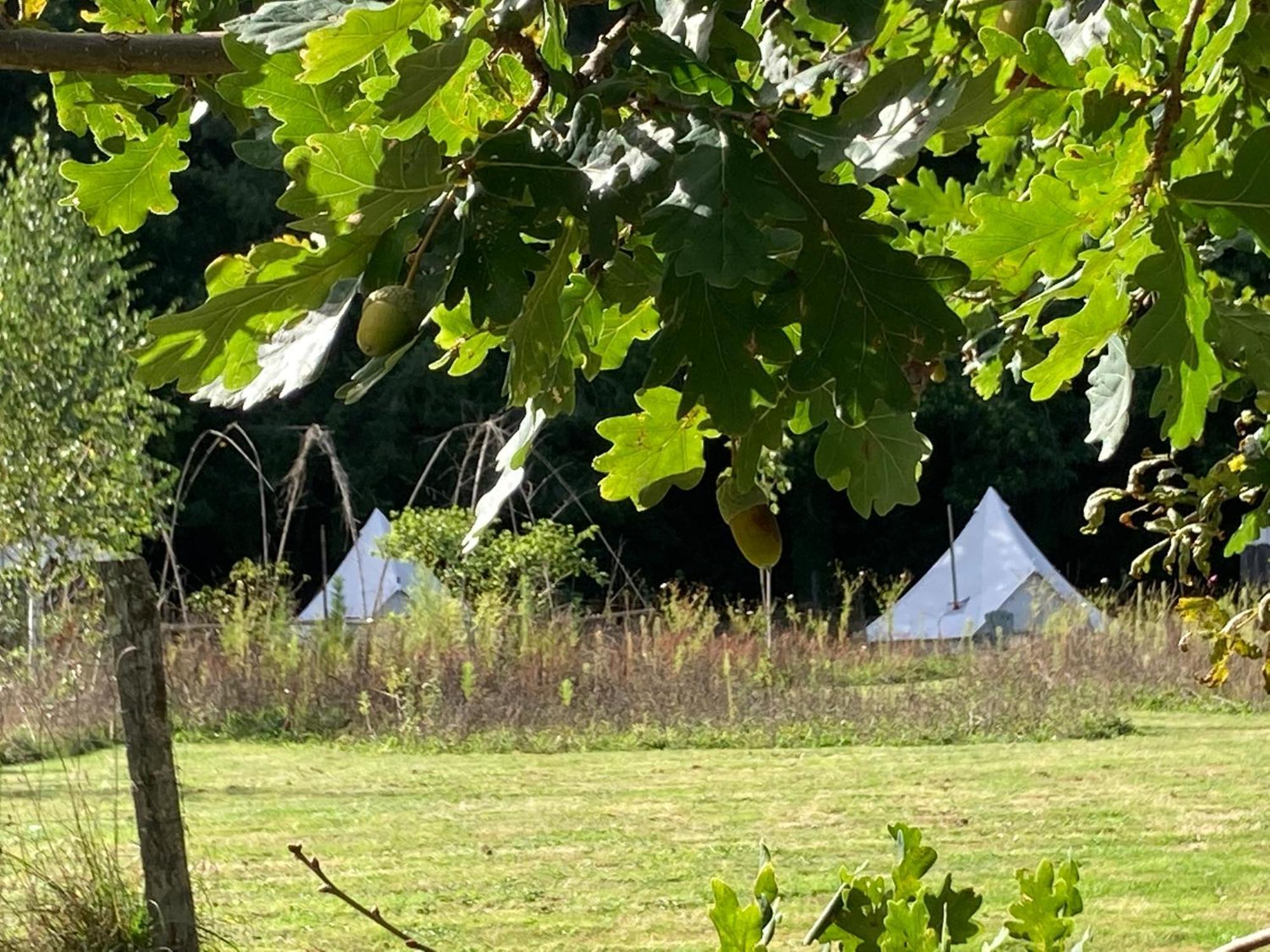 Luxury tent Au Pre Fleuri Eco Glamping Le Lindois